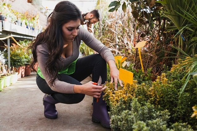 Maintaining Your Garden Edging