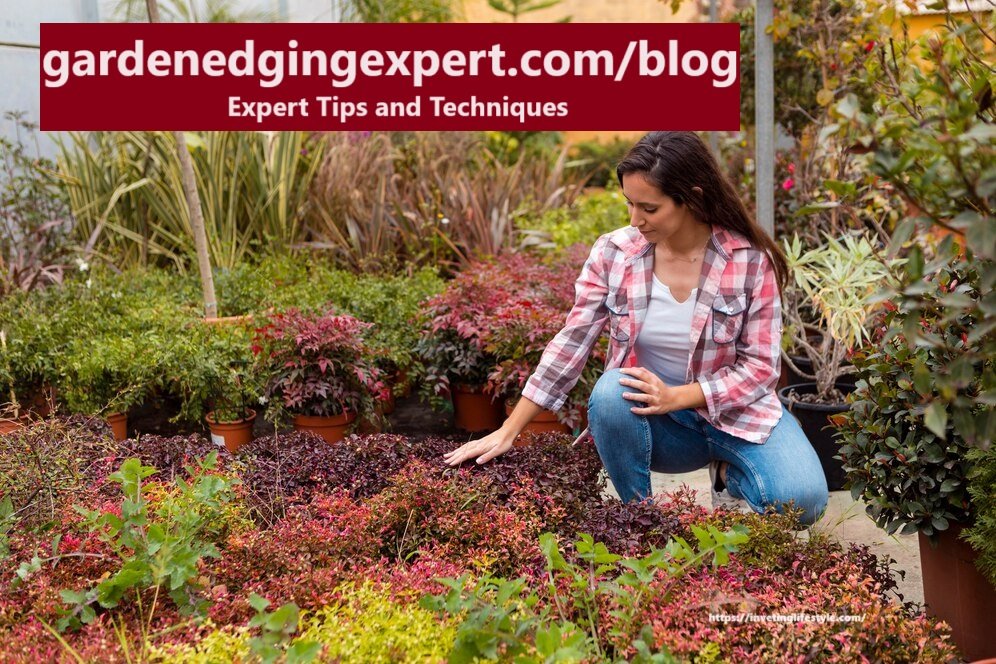 Exploring the gardenedgingexpert.com/blog: Expert Tips and Techniques