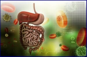 Digestion by Replacing Missing Enzymes