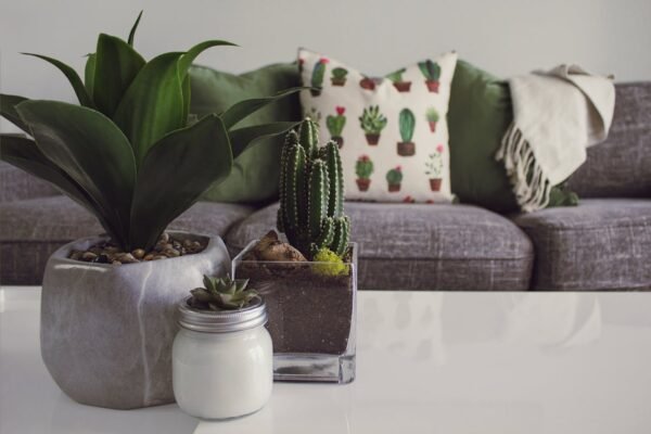 Why Faux Flowers Are Better For Home Decorations