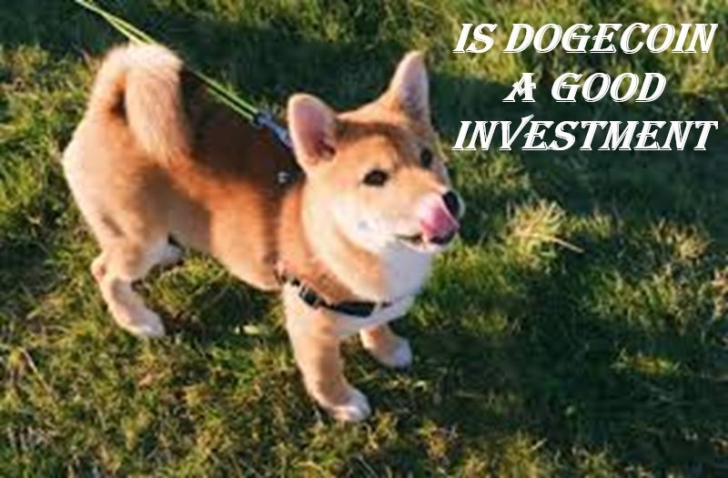 Is Dogecoin a Good Investment in 2025? Risks, Rewards & Future Potential